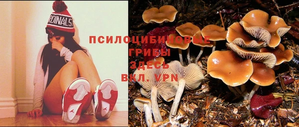 бутират Бикин